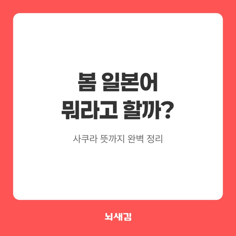 봄 일본어 뭐라고 할까? 사쿠라 뜻까지 완벽 정리