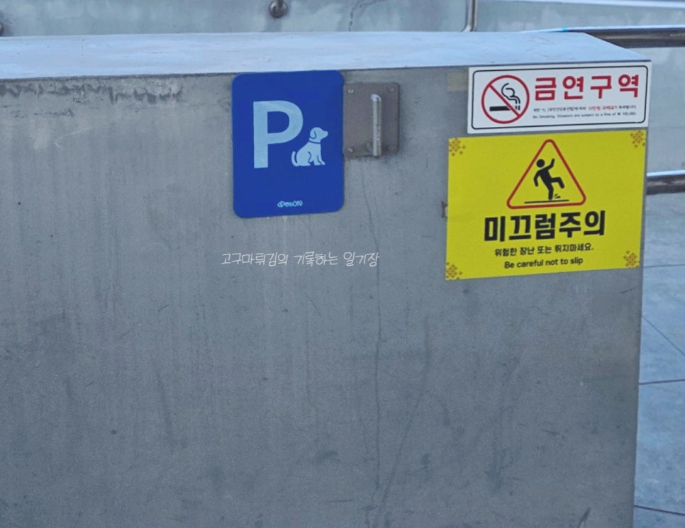 호수별닭갈비 사진 3