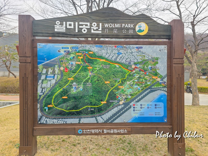 사진 7