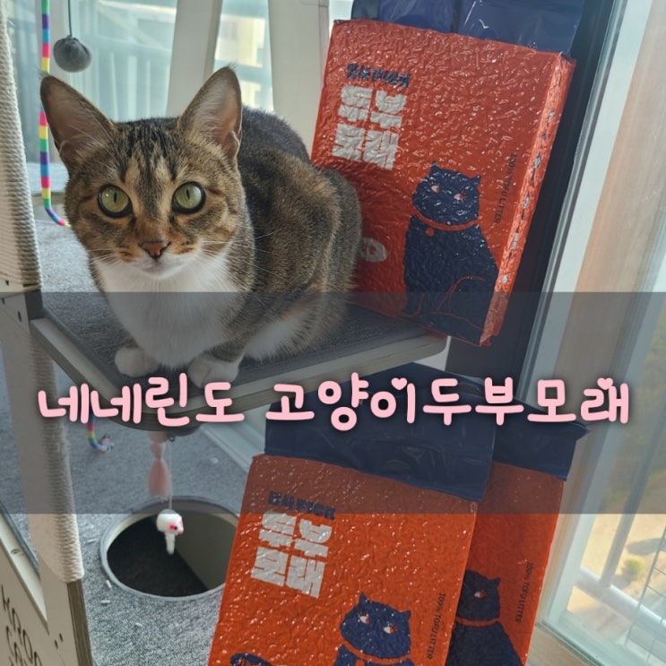 고양이 두부모래 추천 네네린도 가는입자 사용 후기 먼지 날림 적고 응고력 좋음