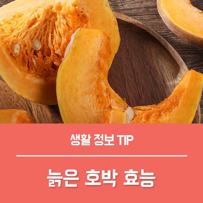 늙은 호박죽 효능 4가지, 늙은 호박 효능 부작용 정리