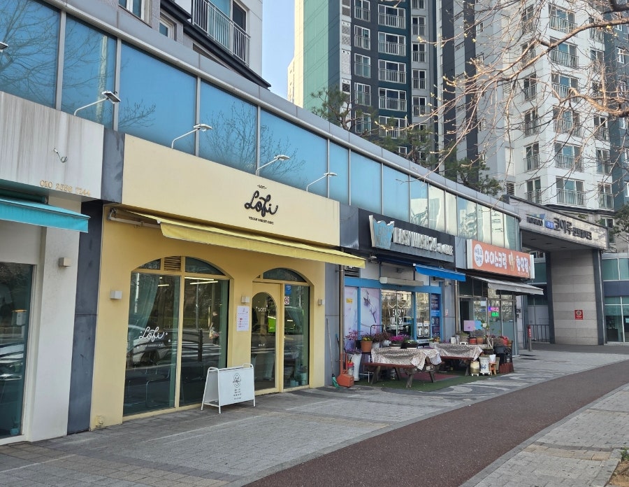로파이 사진 1