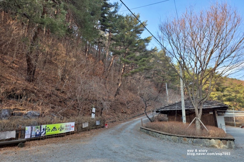 사진 7