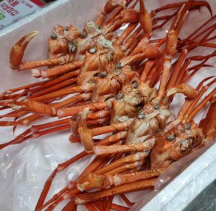 포항 홍게무한리필(택배&포장&홀)