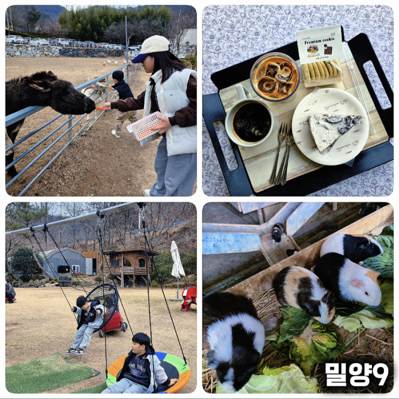 사진 4