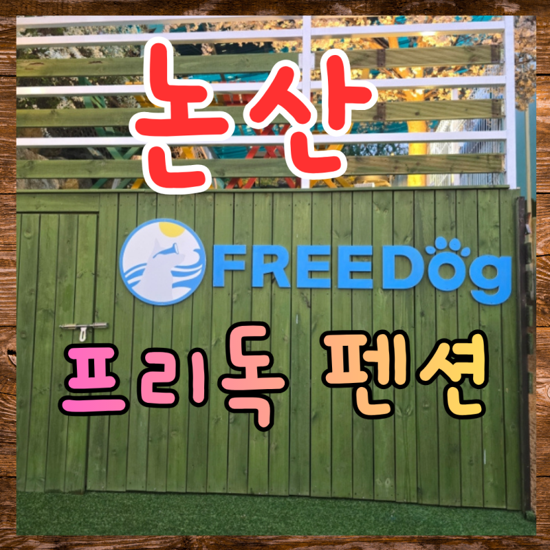 사진 5