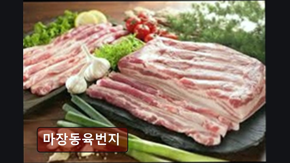마장동육번지 사진 7