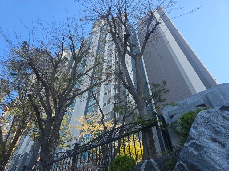  "5월 9일 지나면 수억 날려요" 양도세 면제 마지막 탈출구, '토지거래허가 신청'