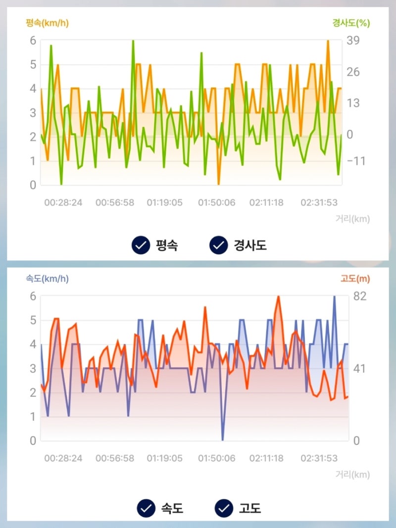 사진 5