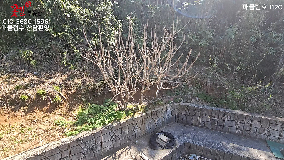 배풍산 사진 6