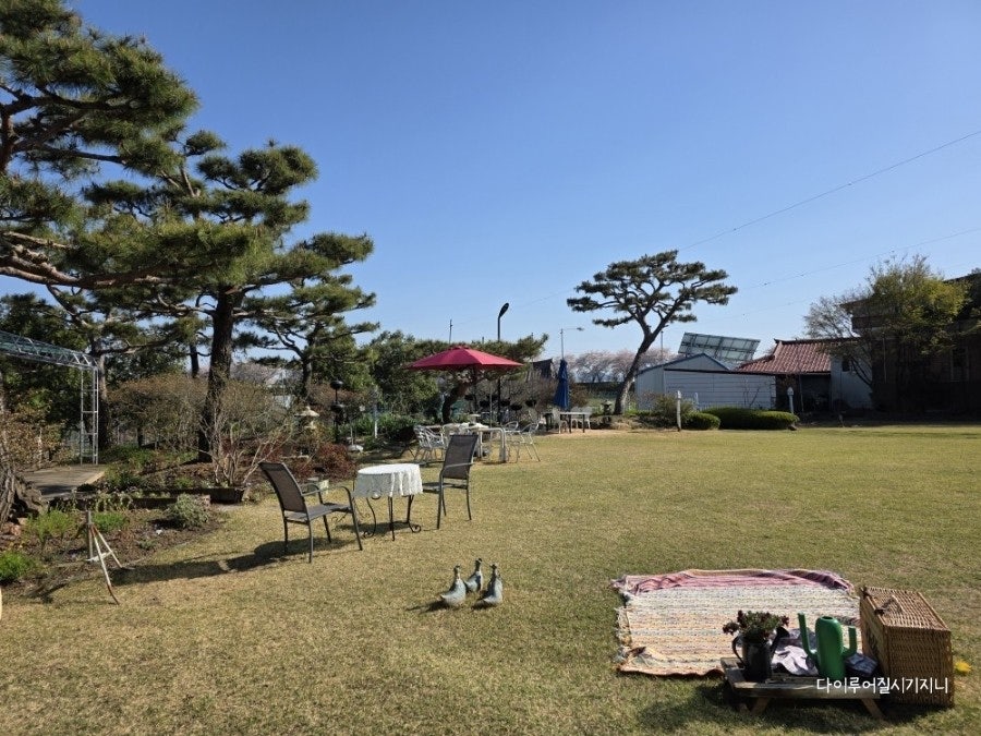 금자네시댁 사진 6