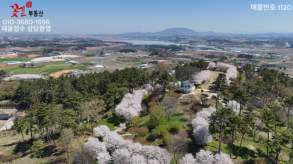 배풍산 사진 2