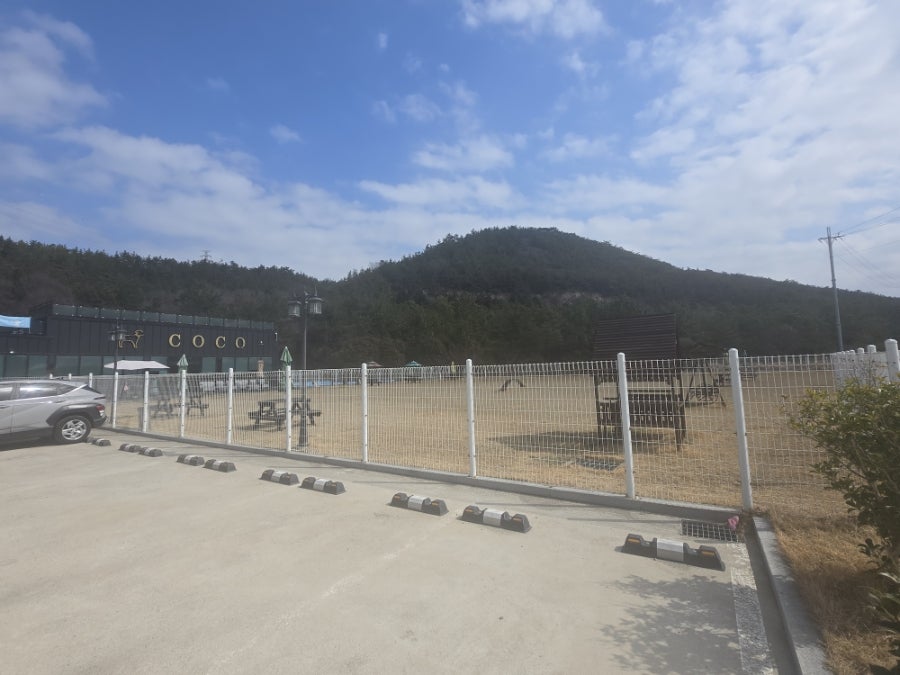 Kokodokseuaegyeonkape photo 3