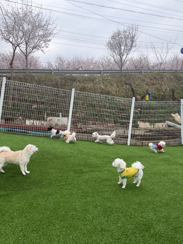 사진 3