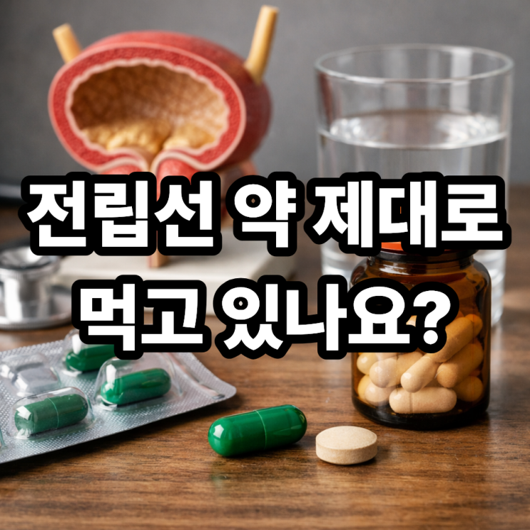  전립선 약 복용 시 주의사항｜부작용부터 복용 팁까지 꼭 알아야 할 핵심 정리