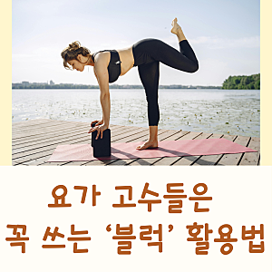요가블럭 추천 다이소 요가블럭 룰루레몬 만두카 비슈누 가네샤 밸런시스 코르크 요가블럭 ....