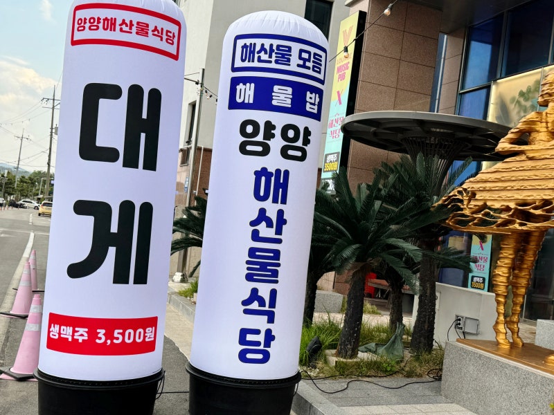 사진 2
