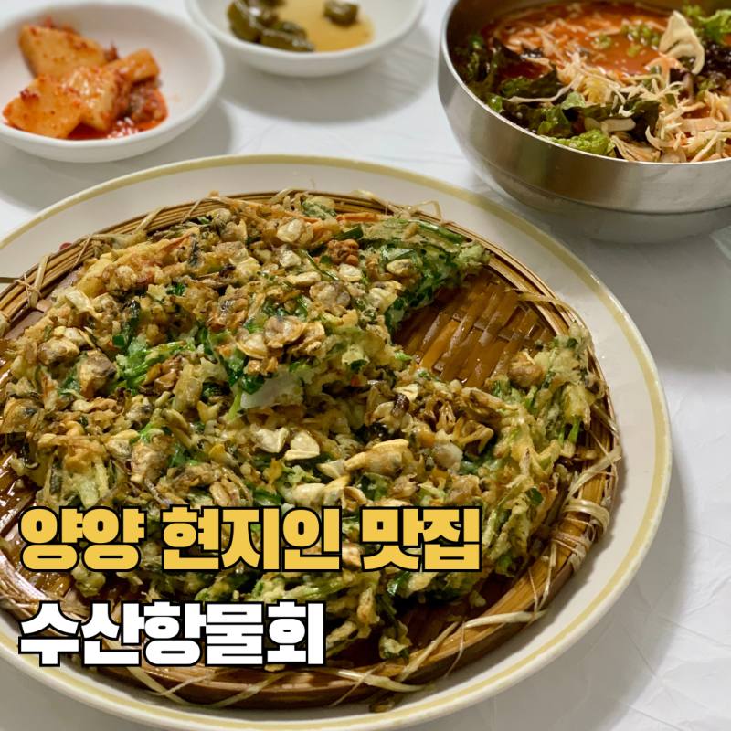 강원도 양양 설해원 맛집 현지인 추천 수산항물회 째복전 째복문어물회