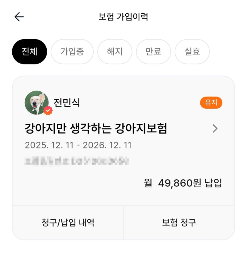 강아지 펫보험 청구 :: 마이브라운 펫보험 청구 참 쉽죠잉