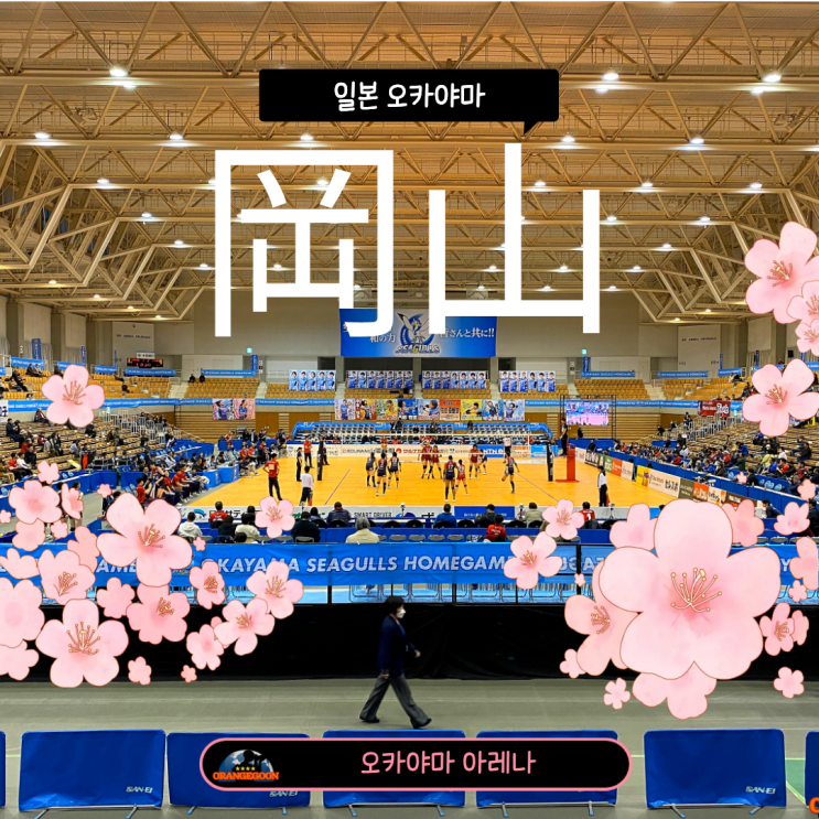 (일본 오카야마 / 모모타로 아레나) 일본 <b>여자배구</b> 1부리그... 