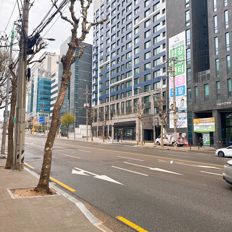 강창구찹쌀진순대 남부터미널점 사진 2