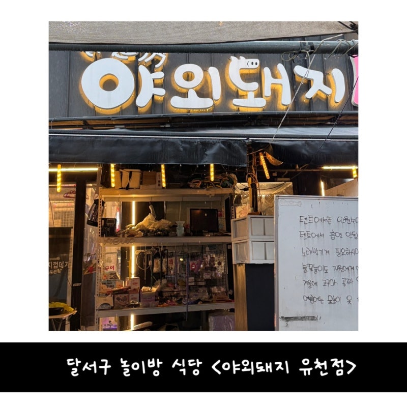 사진 4