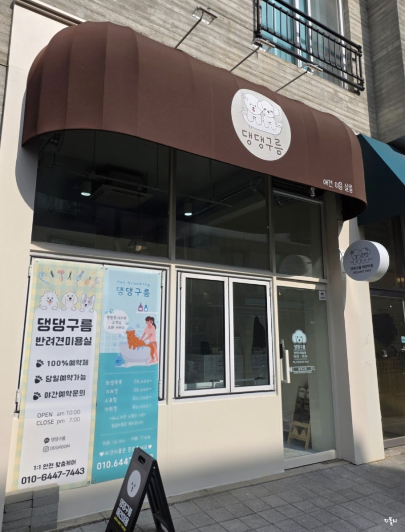 사진 3
