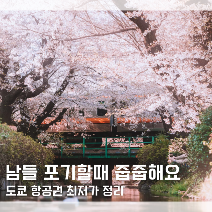  "남들 포기할 때 줍줍해야죠" 4월 5월 도쿄 항공권 반값 예매 방법