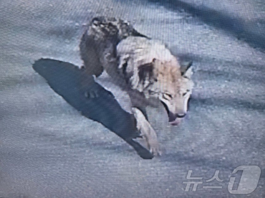 낙원 사진 5
