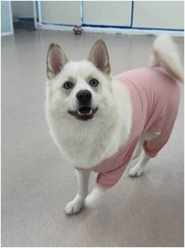사진 6