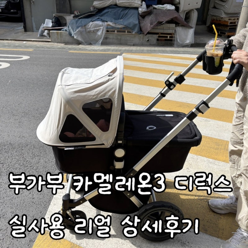 신생아유모차, 중고 부가부 카멜레온3 디럭스 실사용 후기(장단점, 베시넷, 버터플라이 비교,....