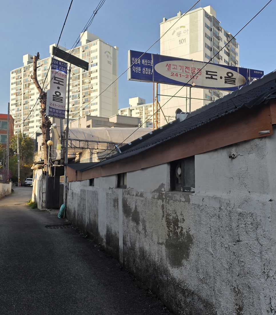 도올 사진 2