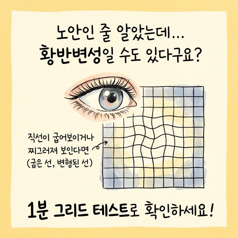 단순 노안인 줄 알았는데 실명 질환? 황반변성 잡아내는 1분 자가 검사