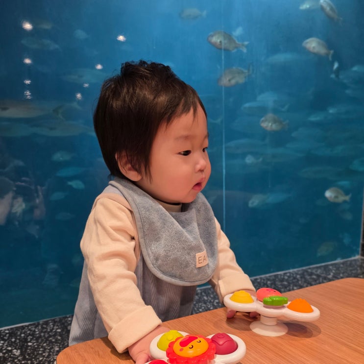  경주 감포 투썸플레이스 아기랑 가기 좋은 수족관 카페