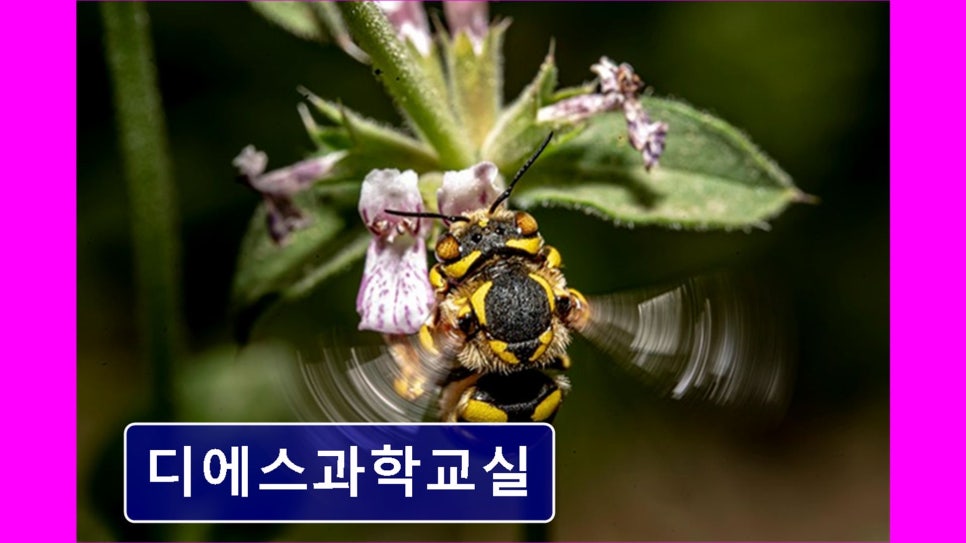 디에스과학 사진 6