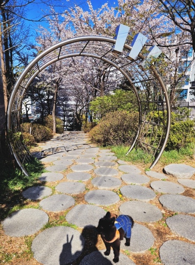 사진 3
