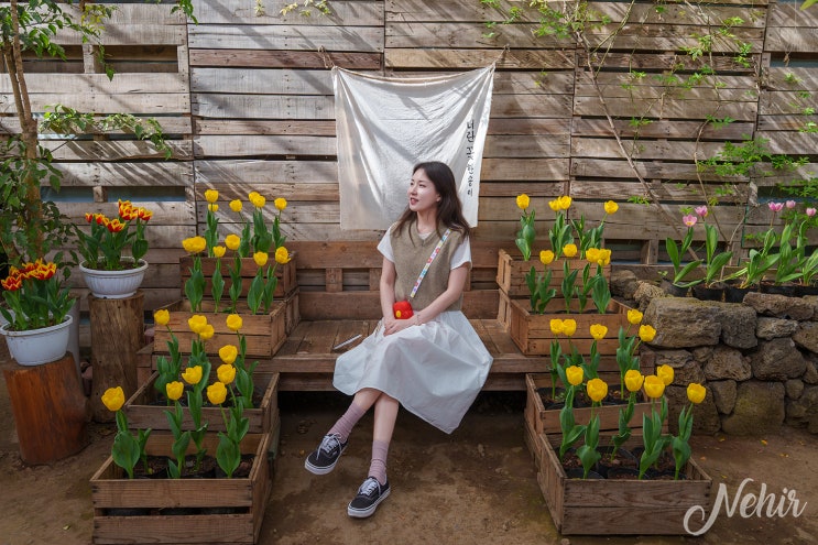 제주 렌트카 완전자차 추천 제주도 렌트카 가격비교