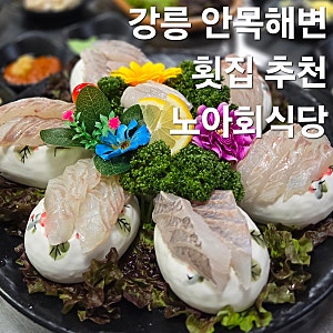 강릉 안목해변 횟집 가성비 회 맛집 노아회식당 내돈내산 재방문 후기