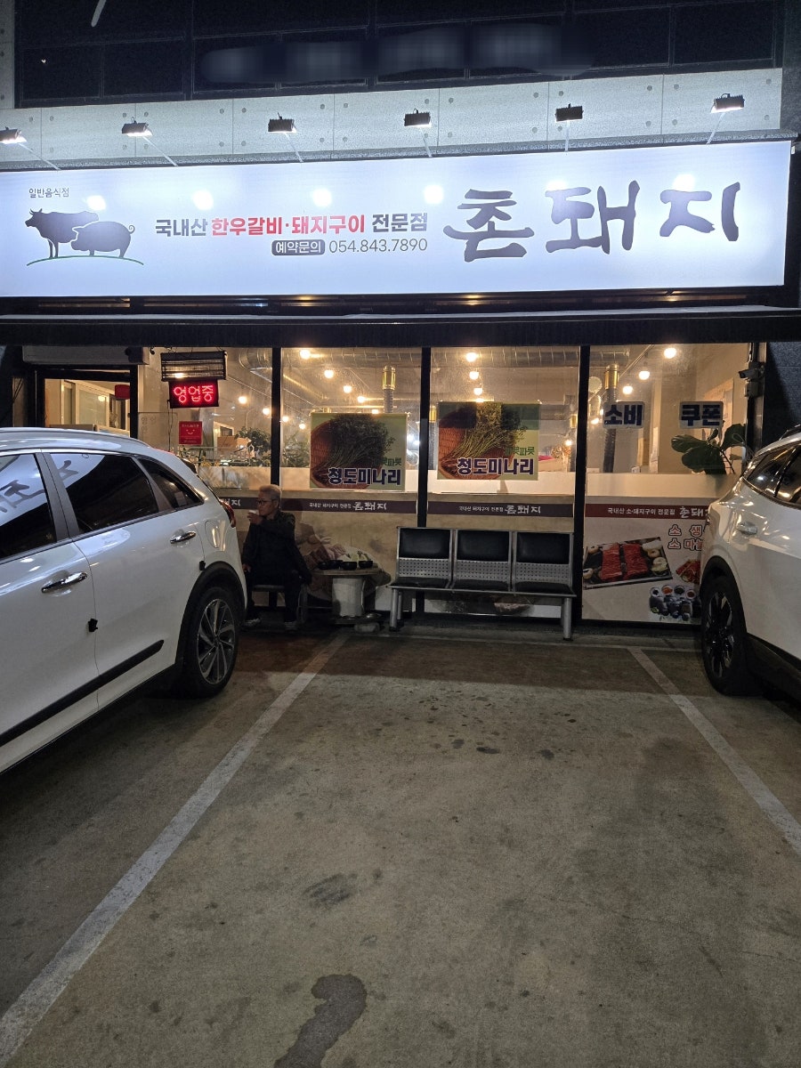 촌돼지 사진 1