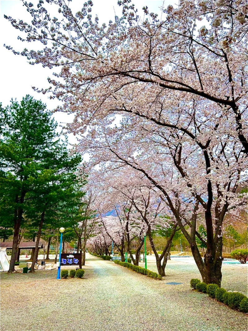 사진 3