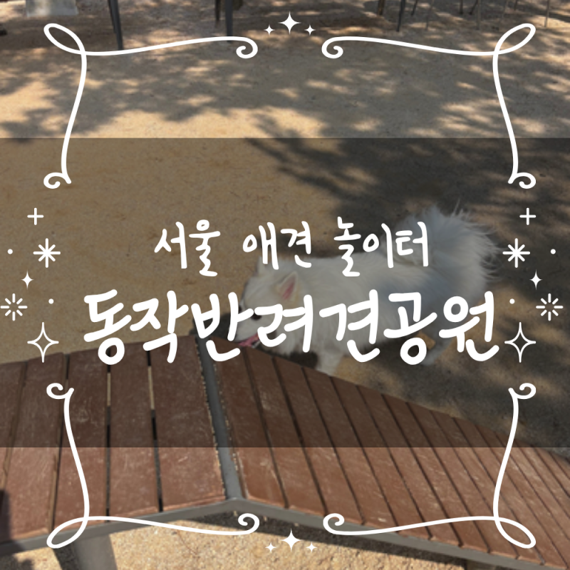 사진 4