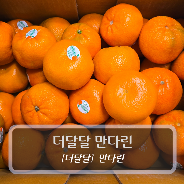  [공동구매] 더달달 만다린 (04. 13. ~ 05. 01) - 미국  귤
