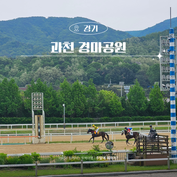  과천 경마공원 경시간 렛츠런파크 서울 벚꽃시즌