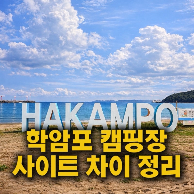 태안 학암포 국립캠핑장 사이트 추천｜A, B, C, D 구역별 차이 총정리
