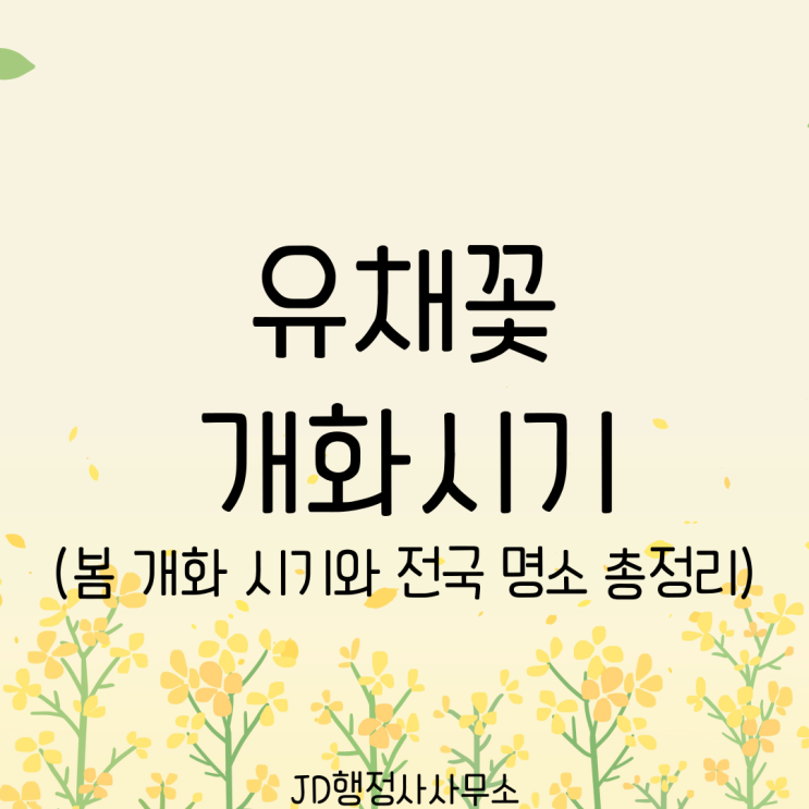  벚꽃 지고 나면 어디 갈까 | 유채꽃 개화 시기와 제주도 대전 세종 봄꽃 명소 추천