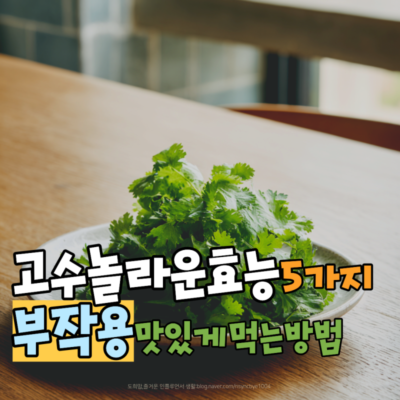 고수 효능 5가지와 부작용 맛있게 먹는 법까지 총정리