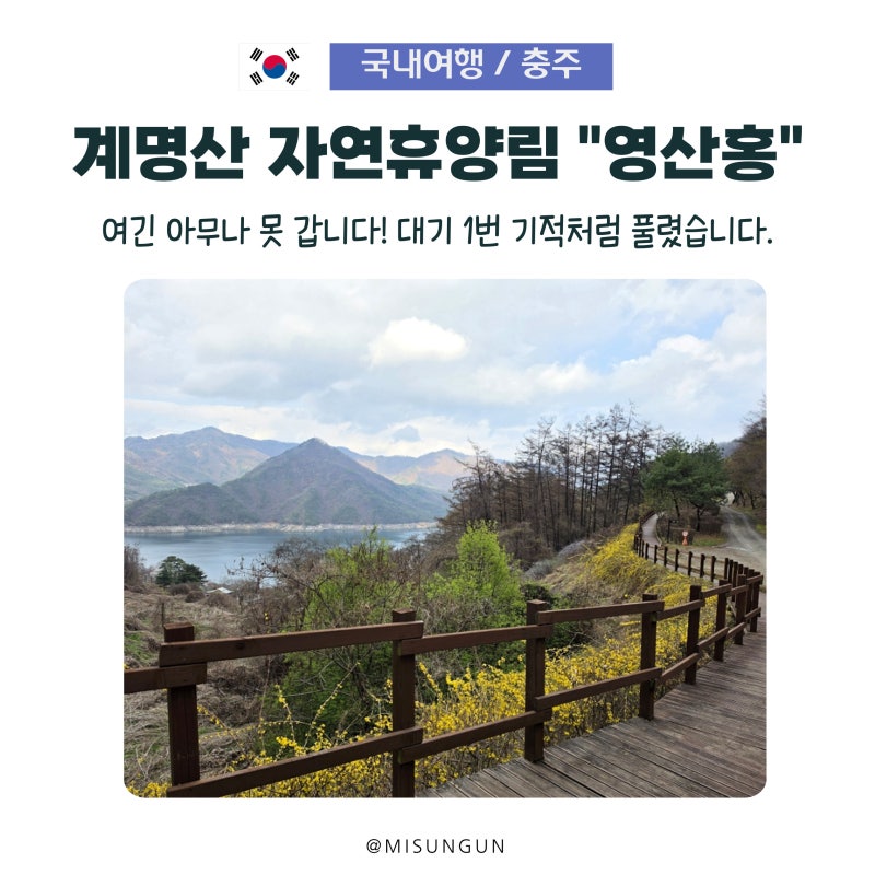 충주 계명산자연휴양림 영산홍 "여긴 아무나 못 갑니다” 대기 1번 성공 비법
