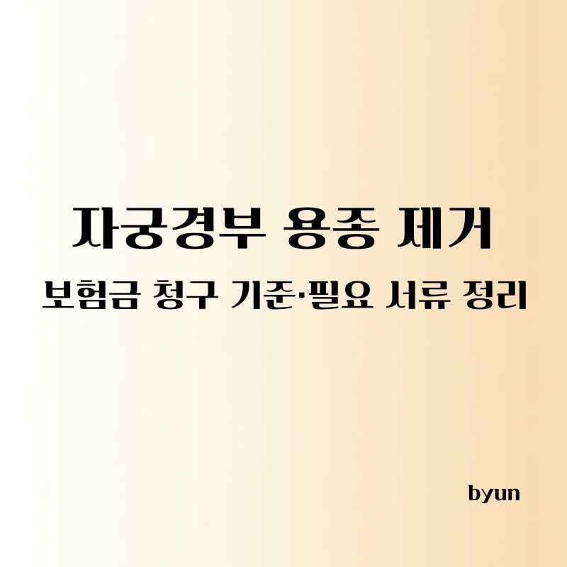 자궁경부 용종 제거 보험금 청구 가능할까? 기준·서류 총정리