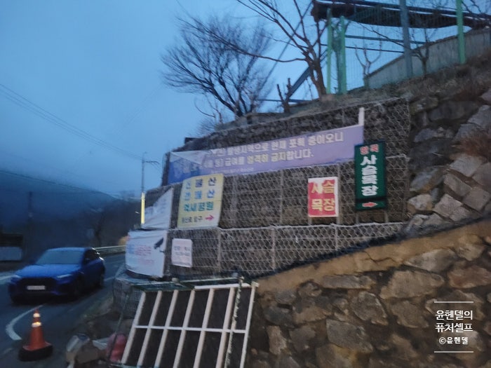 사진 6