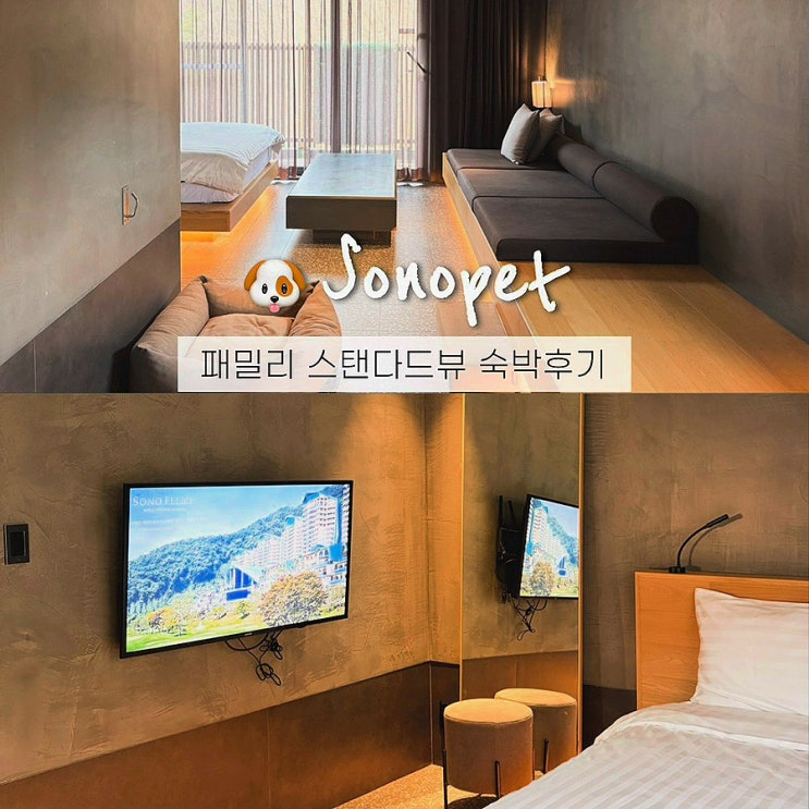  홍천 소노펫 패밀리 스탠다드뷰+소노펫포스트 솔직후기